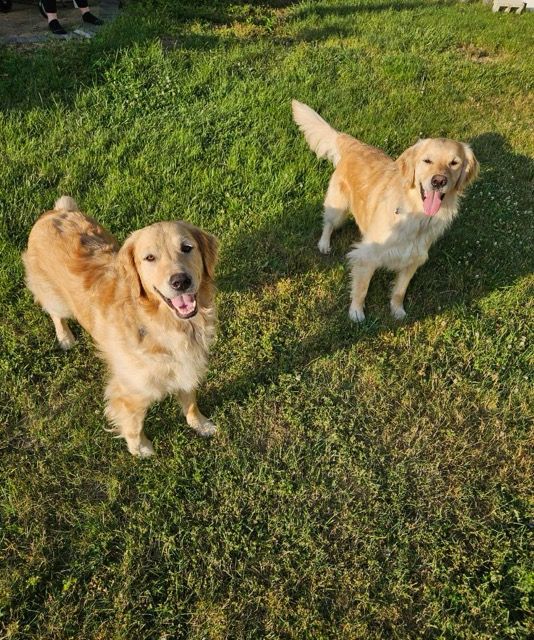 Benjamin And Franklin