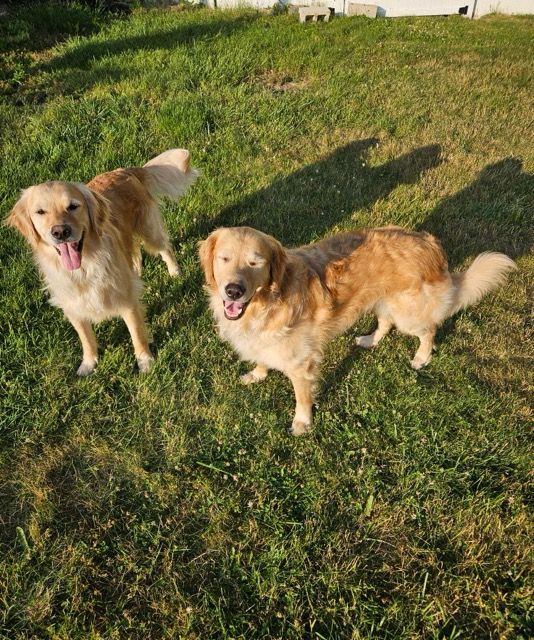 Benjamin And Franklin