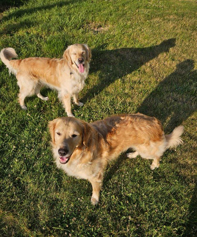 Benjamin And Franklin